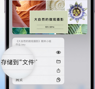 福泉apple维修中心分享iPhone文件应用中存储和找到下载文件