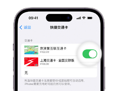 福泉apple维修点分享iPhone上更换Apple Pay快捷交通卡手绘卡面 