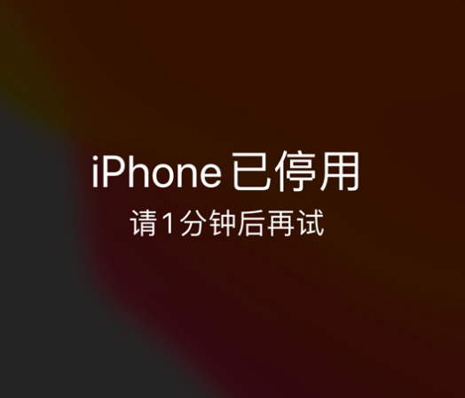 福泉苹果手机维修分享:iPhone 显示“不可用”或“已停用”怎么办？还能保留数据吗？ 