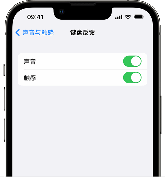 福泉苹果14维修店分享如何在 iPhone 14 机型中使用触感键盘 