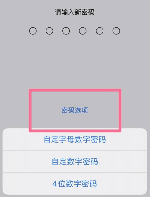 福泉苹果14维修分享iPhone 14plus设置密码的方法 