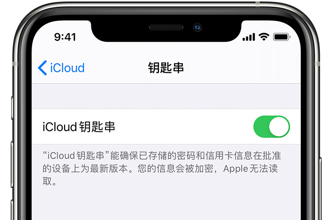 福泉苹果手机维修分享在 iPhone 上开启 iCloud 钥匙串之后会储存哪些信息 